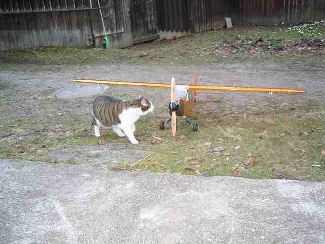 piper bespannt0001.jpg