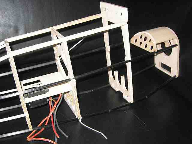 piper gesteckt 0002.jpg