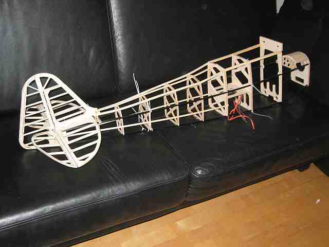 piper gesteckt 0003.jpg