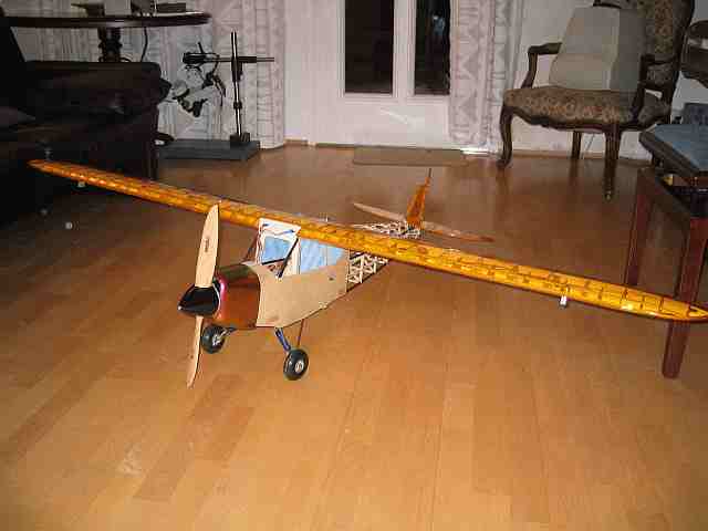 piper teilweise bespannt0001.jpg